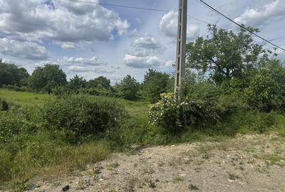 Spațiu comercial, în Goruni - 7