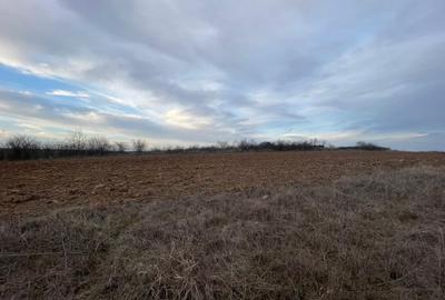 Teren intravilan 2000mp parcelat Malu Mare - 2