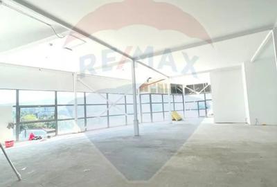 Spațiu comercial, de 520 mp, în Colentina - 1