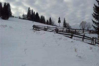 Teren de 5800 mp, în Central - 3