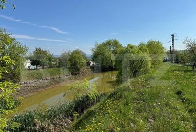 Teren 19000mp , iaz -120mp, Botosanita, Siret - 9