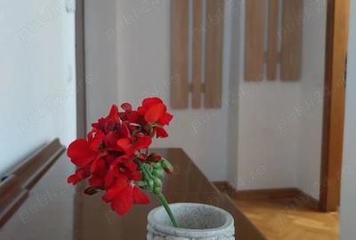 Garsonieră decomandată în Ultracentral - 3