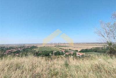 Teren intravilan pe deal Paulis, Arad - 2