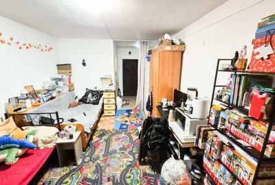 Garsonieră nedecomandată în Geamăna - 2