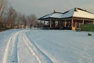 Teren de 4500 mp, în Cristinești - 1