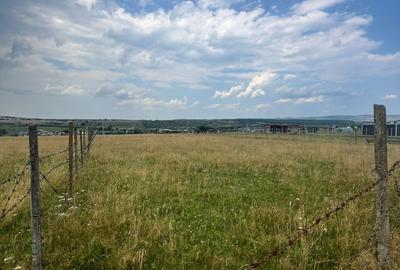 Teren extravilan Cisnadie, Str. Selimbarului – 2.380 mp - 1