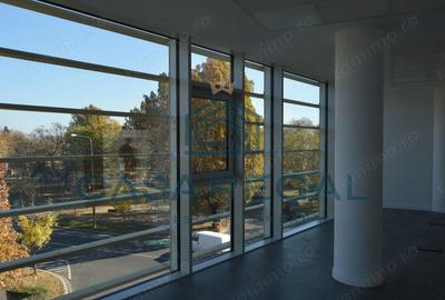 Spațiu comercial, de 160 mp, în Cantemir - 1