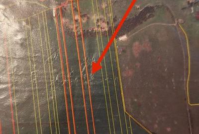 Spațiu comercial, în Saca