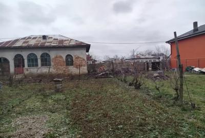 Teren de 1080 mp, în Coșoveni - 3