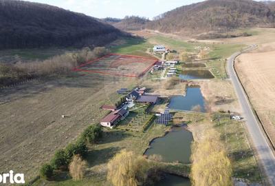 Teren de 7000 mp, în Laslea - 4