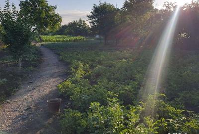 Spațiu comercial, în Fântânele - 2