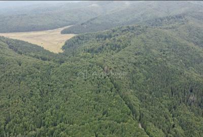 Teren 7 ha, Lac Vidraru, Podis Molivis - 9