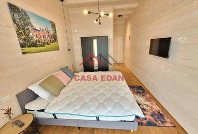 Casă cu 6 camere cu Teren 2020 Mp în Câmpina - 9
