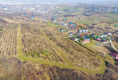 Vanzare Teren Intravilan 800 mp Visani Sf Ilie PUZ Casa D+P+E