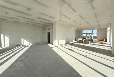 Spațiu comercial, de 168 mp, în Moșnița Nouă - 2