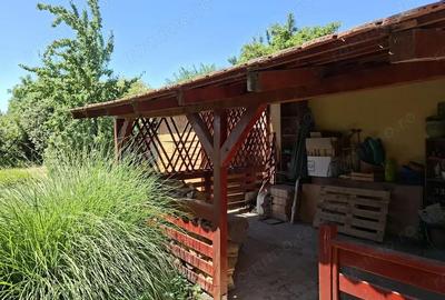 BRASADAS vinde casa P+M 6 cam 227mp teren 11 ari in 14 Mai. BRASADAS vinde casa P+M 6 cam 227mp teren 11 ari in 14 Mai. - 15