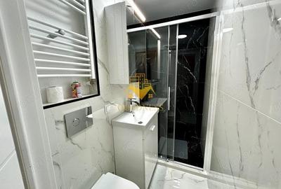 2 camere decomandate, Plopilor, USAMV, Platinia, Prima inchiriere - 7