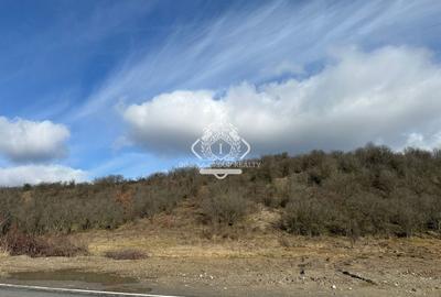 Teren Construcții intravilan de 3500 mp, în Dragomirești - 3