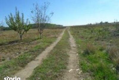 Teren de 613 mp, în Brânceni - 5