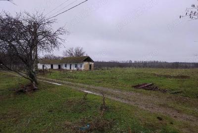 Teren de 8140 mp, în Băltenii de Jos - 2