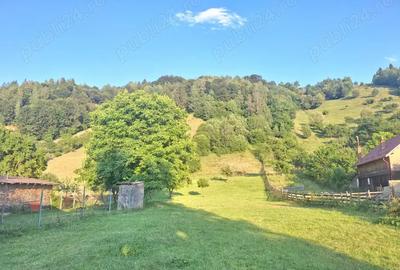 Casă cu 4 camere cu Teren 1500 Mp în Moieciu - 7