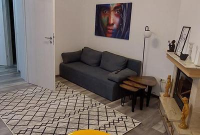 Casa singur curte langa parcul Herastrau Casa singur curte langa parcul Herastrau - 1