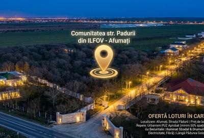 Teren în Afumați - 4