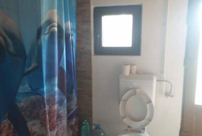 HORIA - 3 CAMERE ,SUPRAFATA 100 MP,TEREN 3000 MP CU DESCHIDE - 10