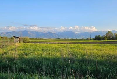 Casă cu 4 camere în Central - 5