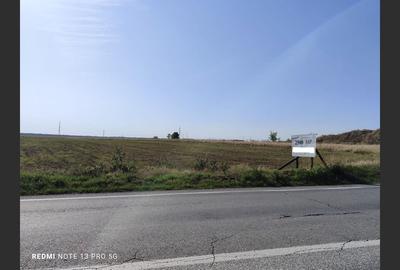 Teren agricol 2500 mp, Cocorăștii Colț - 5