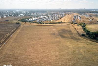 Teren de 16500 mp, în Tunari - 9