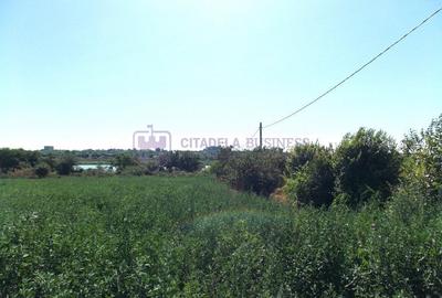 TUZLA - Teren intravilan 1000 mp, langa lacul Techirghiol! TUZLA - Teren intravilan 1000 mp, langa lacul Techirghiol! - 10