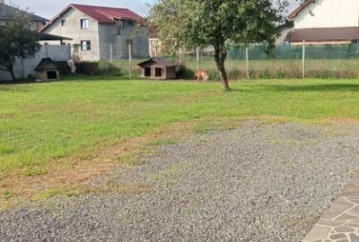 Sat Sasar, 6 ari teren - 1