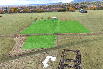 Teren  extravilan 2500 mp in Orlat - 3