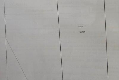 Teren 3000 mp Albești (E60) – Proiect de 3 Case – Toate Avizele și Utilitatile - 1