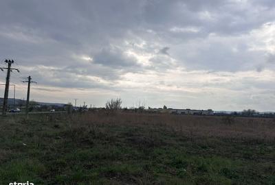 Spațiu comercial, în Ernei - 3