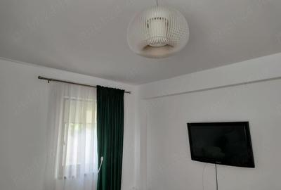 Apartament cu 2 camere decomandat în Tătărași - 9