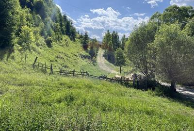 Teren de vanzare la munte cu rau in fata si priveliste superba - 3