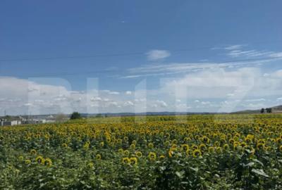 Teren de 20000 mp, în Central - 1