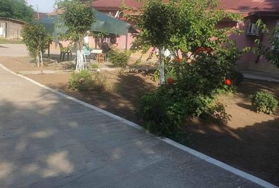 Casă cu 6 camere în Independența - 4