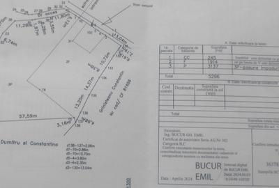 Teren Construcții intravilan de 5296 mp, în Cuca - 4