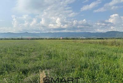 Teren extravilan 4800mp acces auto, Cristian - 2