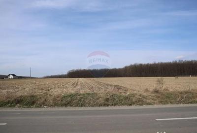 Teren în Central - 3