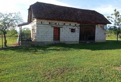Casă cu 2 camere cu Teren 4707 Mp în Hălmăgel - 2