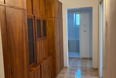 Apartament cu 3 Camere / Vatra Luminoasa / Ianclui - 9