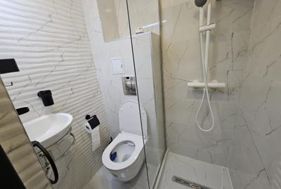 Garsoniera  BabaNovac  renovata/mobilata/utilata /bloc mixt /Et1din 10 - 10