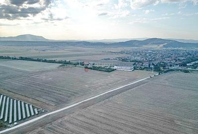 Teren Destinatie Industriala - 8