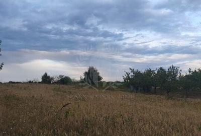 TEREN INTRAVILAN\\ZONA SPITALUL JUDETEAN PLOIESTI - 1