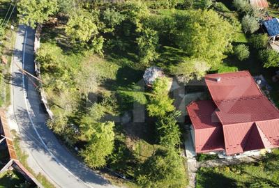 Casa superba Valenii de Munte , Teren Generos 2031 mp ! - 17