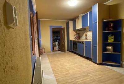 RECO Casa Spatioasa la 7km de Beius - 7